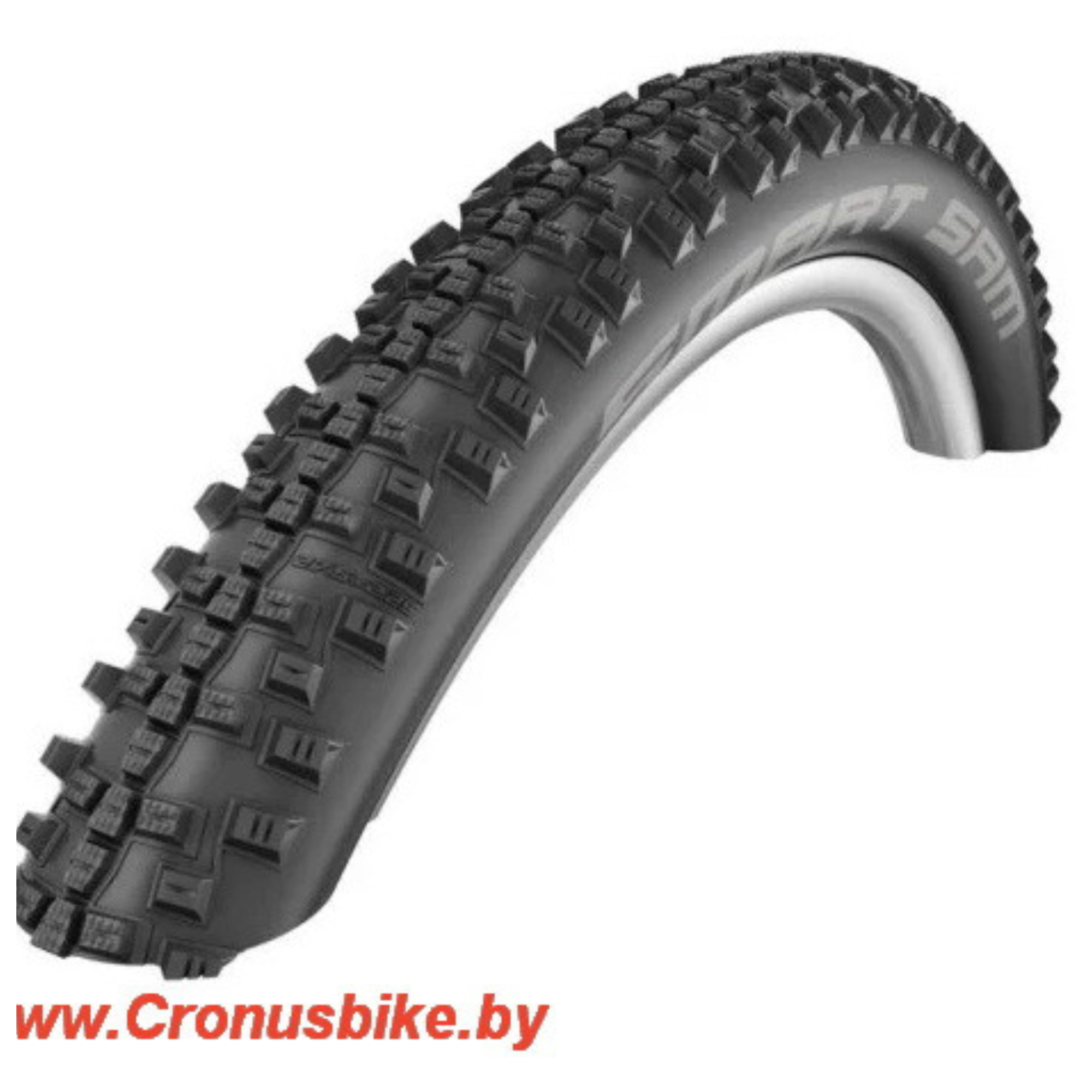 Шины 29. Покрышка Schwalbe Hurricane. Schwalbe Racing Ralph Performance Addix 29. Швальбе Харрикейн. Schwalbe Nobby nic 26x2.25.